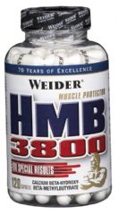 HMB 3800 | 120 cps.