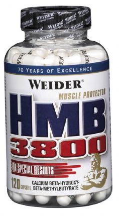 HMB 3800 | 120 cps.